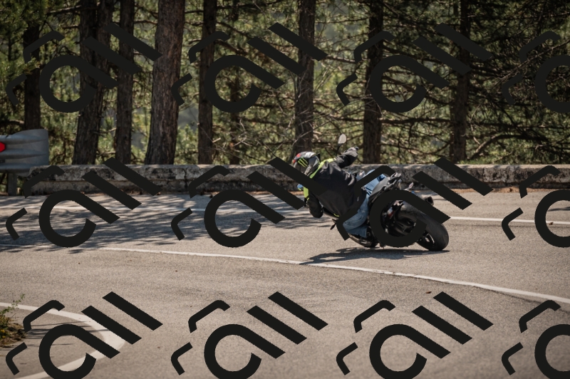 20250608110513-_Z628713_am_