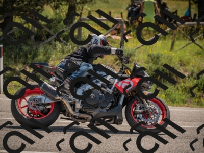 20250608110519-_Z628717_am_