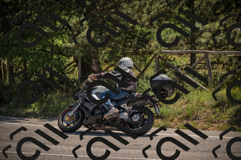 20250608110520-_Z628718_am_