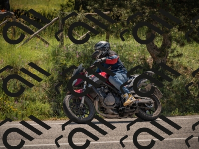 20250608110600-_Z628746_am_