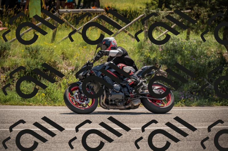 20250608110638-_Z628754_am_