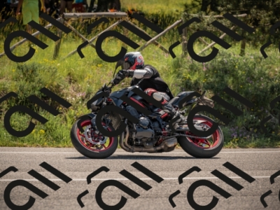 20250608110638-_Z628754_am_