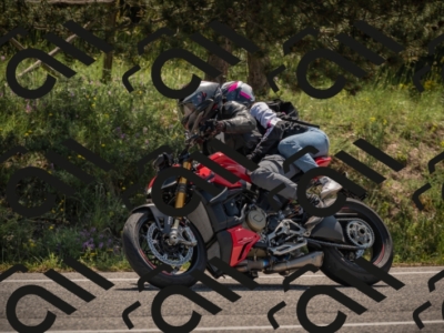 20250608110728-_Z628778_am_