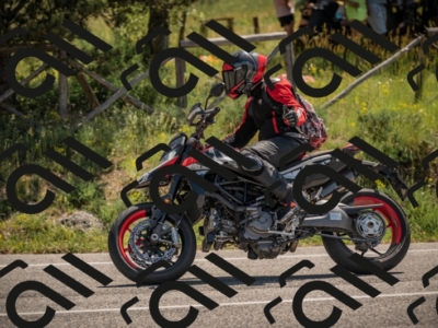 20250608111208-_Z628805_am_