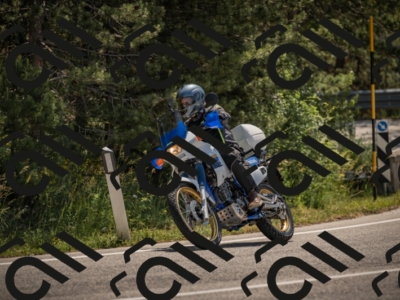 20250608111610-_Z628846_am_