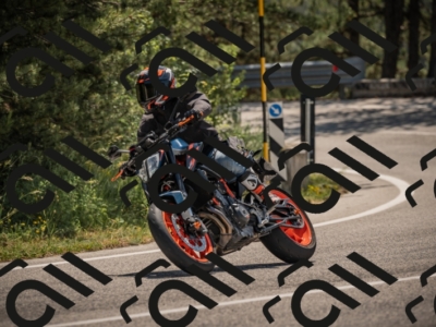 20250608112024-_Z628879_am_