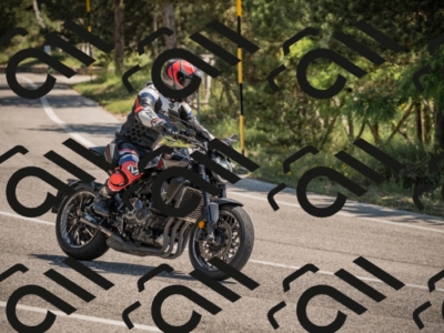 20250608112350-_Z628922_am_