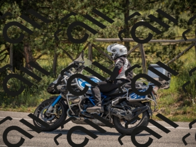 20250608112920-_Z628969_am_