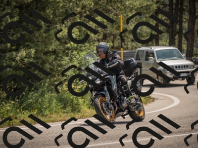 20250608113438-_Z629049_am_