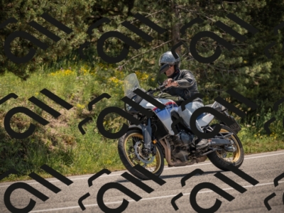 20250608113838-_Z629106_am_