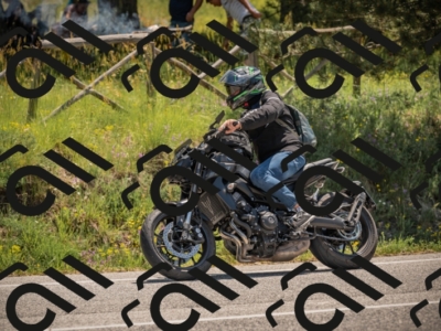 20250608114119-_Z629151_am_