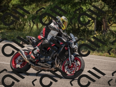 20250608114258-_Z629167_am_