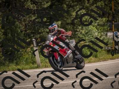 20250608114741-_Z629238_am_