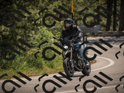 20250608115008-_Z629254_am_