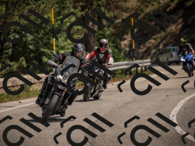 20250608115113-_Z629263_am_