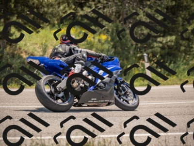 20250608115117-_Z629270_am_