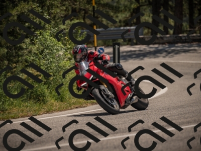 20250608115129-_Z629276_am_