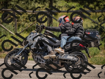 20250608115206-_Z629284_am_