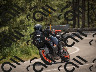 20250608115308-_Z629285_am_