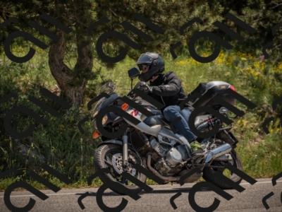 20250608115358-_Z629305_am_