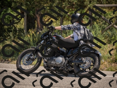 20250608120317-_Z629416_am_