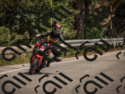 20250608120322-_Z629417_am_