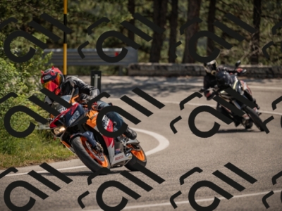 20250608120600-_Z629445_am_