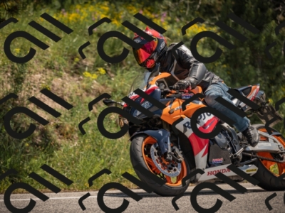 20250608120601-_Z629447_am_