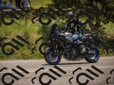 20250608120748-_Z629487_am_