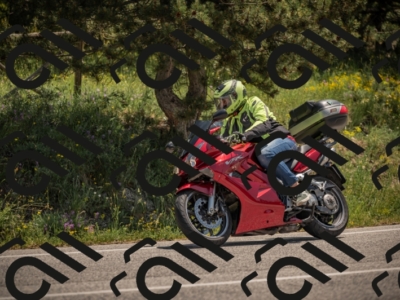 20250608121059-_Z629549_am_