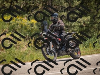 20250608121129-_Z629552_am_