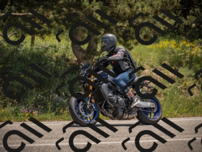 20250608121538-_Z629631_am_