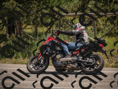 20250608121613-_Z629648_am_