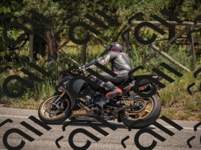 20250608121853-_Z629701_am_