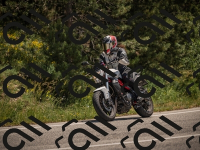 20250608121924-_Z629713_am_