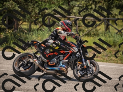 20250608122018-_Z629735_am_