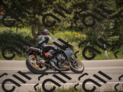 20250608122026-_Z629741_am_