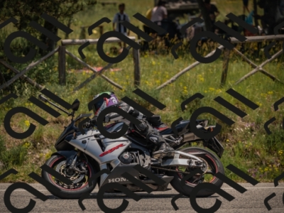 20250608122643-_Z629839_am_