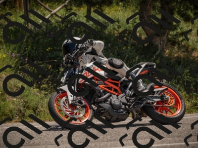 20250608122941-_Z629889_am_