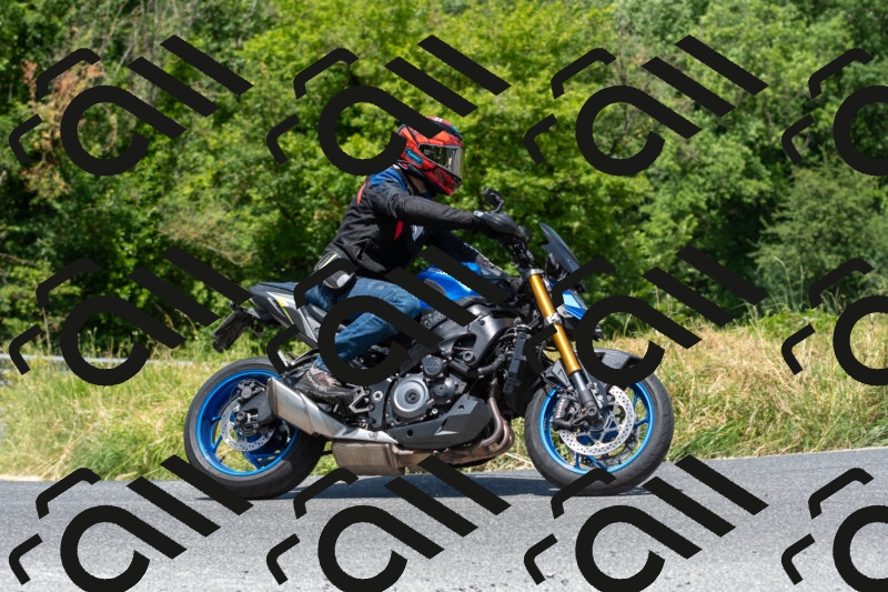 20250607120525-R01_1981_r1