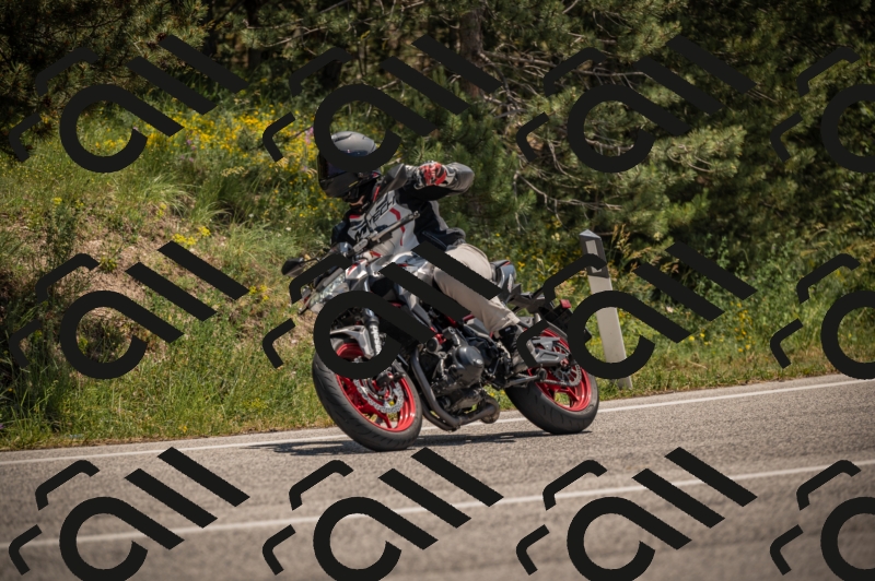 20250608123102-_Z629895_am_