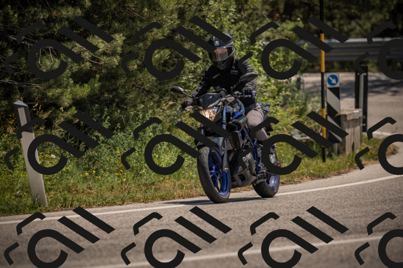 20250608123227-_Z629935_am_