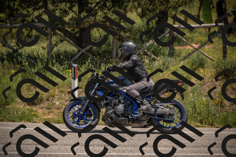 20250608123229-_Z629936_am_