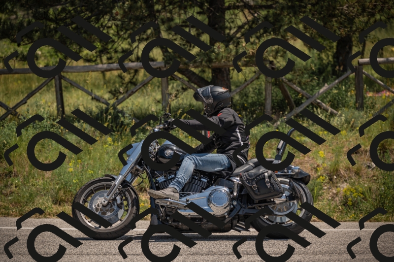 20250608123318-_Z629948_am_