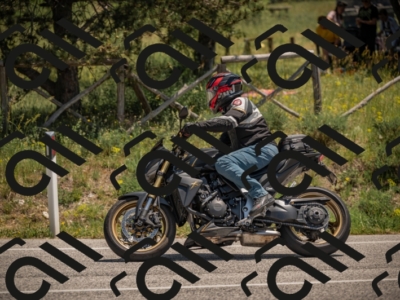 20250608123329-_Z629951_am_