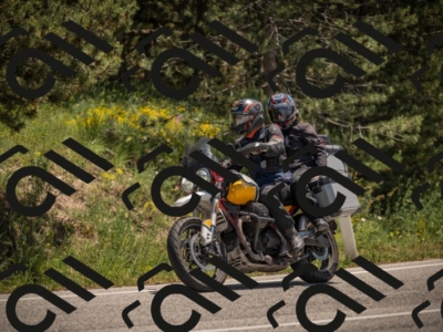 20250608123502-_Z629964_am_