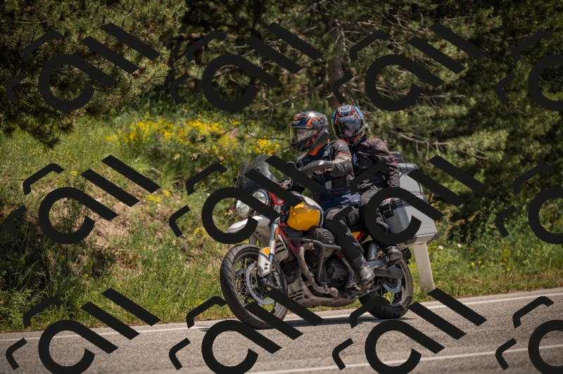 20250608123502-_Z629964_am_