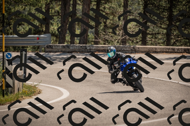 20250608123523-_Z629968_am_