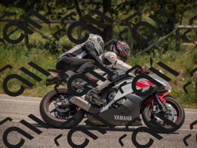 20250608124410-_Z620078_am_