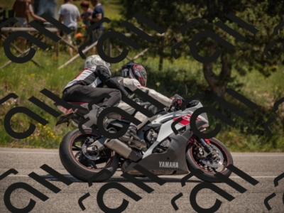 20250608124410-_Z620079_am_